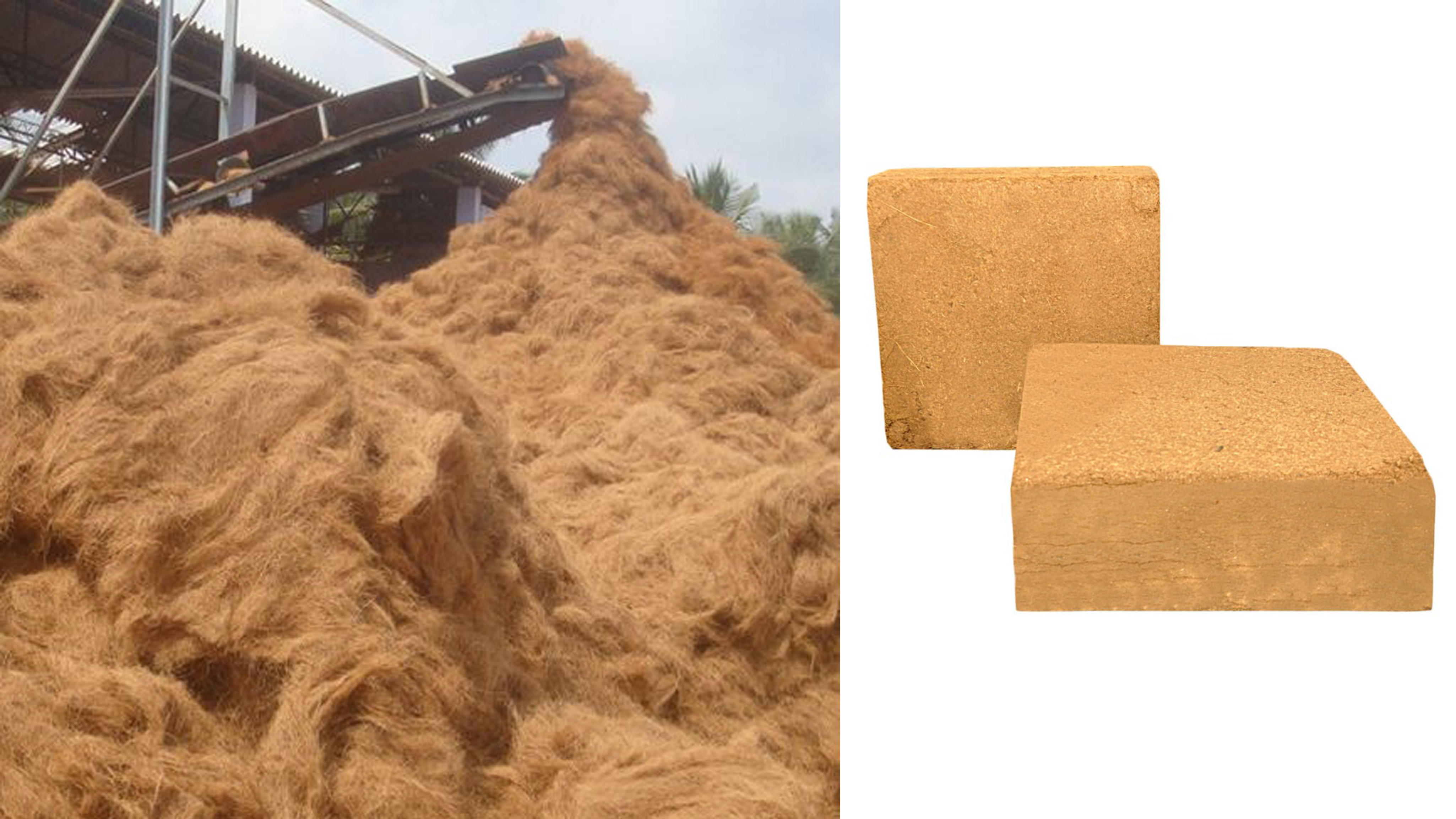  Coir Pith Exporters in India
