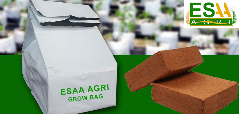 Buy Grow Bag in India