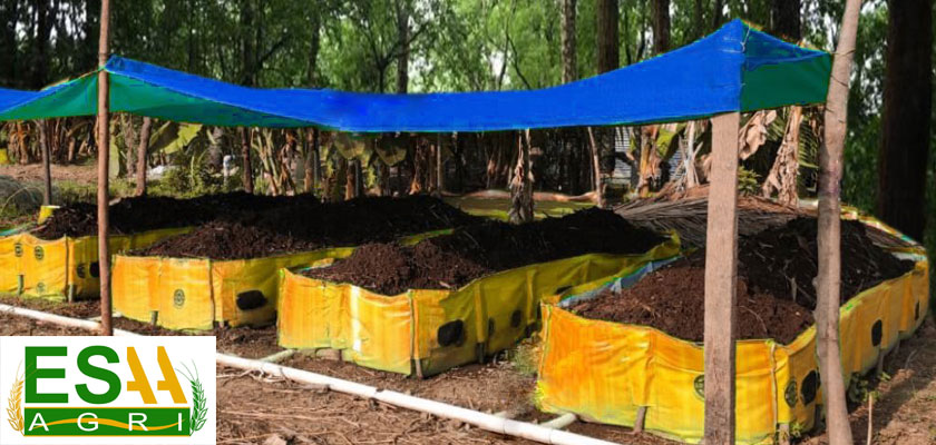 Organic Manure Exporters in India